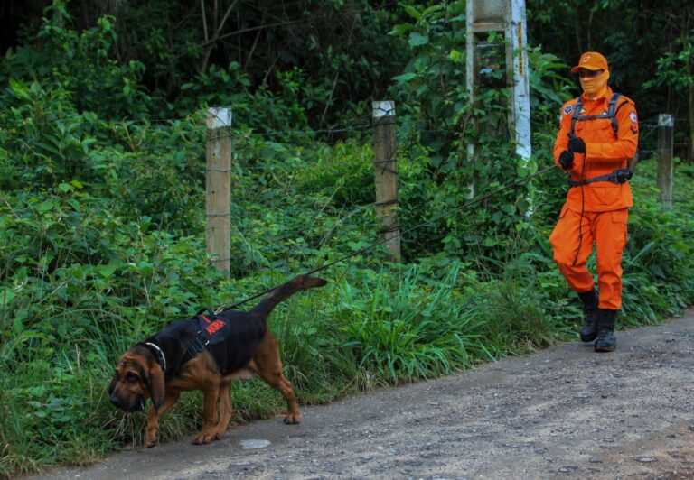 corpo de bombeiros 1