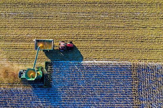 MODERNIZAÇÃO NA INDÚSTRIA ALIMENTÍCIA E O PAPEL DOS MOTORES ELÉTRICOS