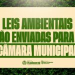 Itaboraí encaminha à Câmara Municipal dois projetos de lei fundamentais para a proteção ambiental no Dia Mundial do Meio Ambiente