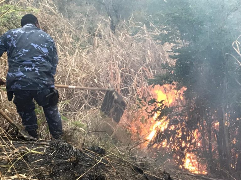 Balões - Prática criminosa ameaça matas em áreas de proteção ambiental de São Gonçalo (2)