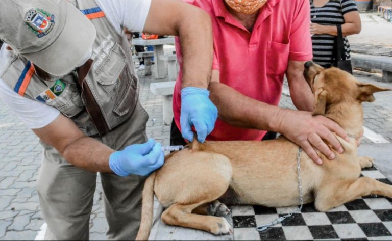 Vacinação antirrábica para cães e gatos começa na segunda-feira em Itaboraí