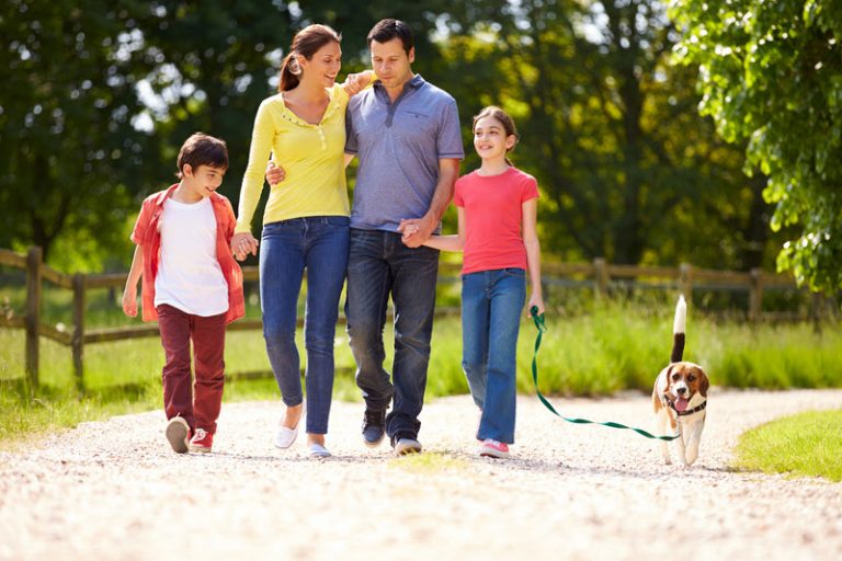 Hispanic Family Taking Dog For Walk In Countryside