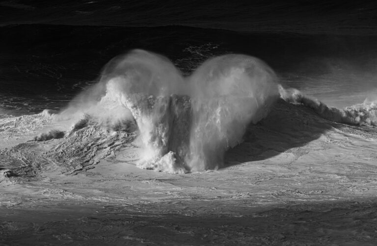 Nazaré - wings or heart?