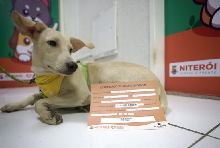 Ação Animal. Foto/Divulgação: Luciana Carneiro