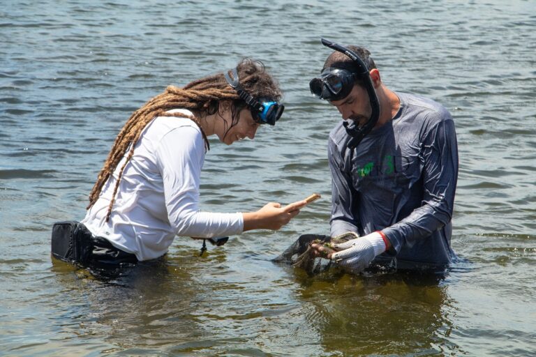 Projeto-de-Inventario-da-Biodiversidade-Faunistica-da-Enseada-de-Jurujuba-Duda-Menegassi-6