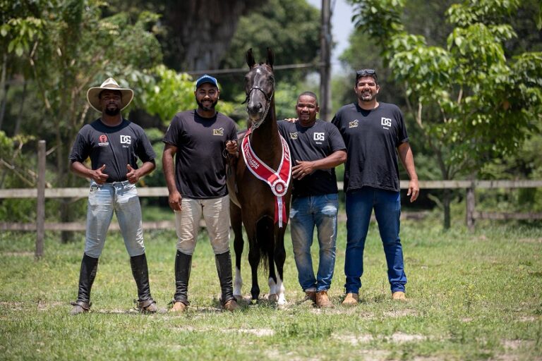 I Leilão Elite no Parque Rural3