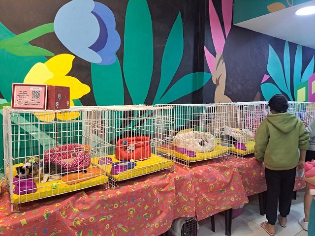 ADOÇÃO RESPONSÁVEL: MADUREIRA SHOPPING REALIZA CAMPANHA PET NESTE SÁBADO