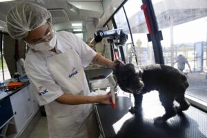 ESCOLA MÓVEL PET DO SENAC RJ PARTICIPA DA SEMANA S COM SERVIÇOS GRATUITOS PARA ANIMAIS E TUTORES NA PRAÇA MAUÁ