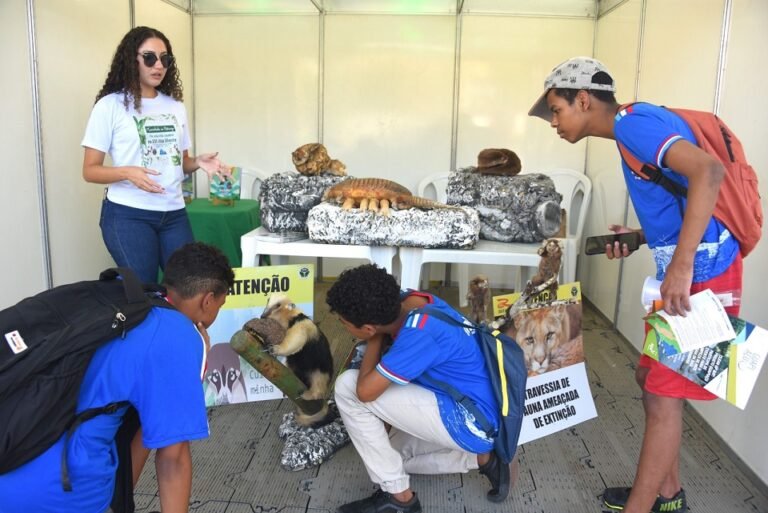 WhatsApp-Image-2025-06-05-at-15.40.20