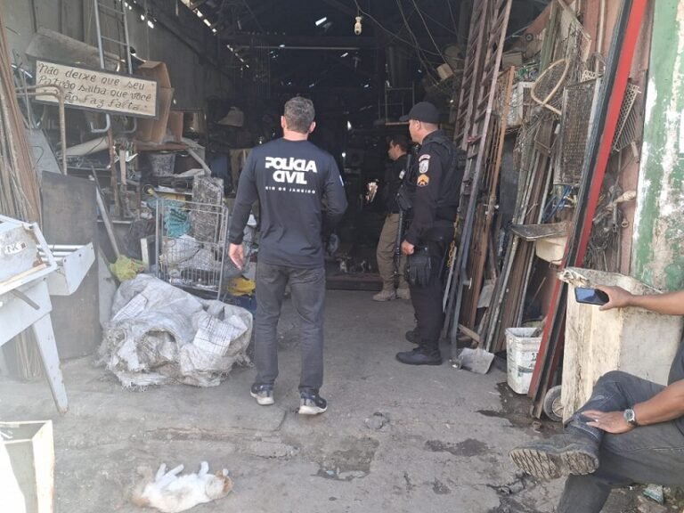 WhatsApp Image 2025-06-13 at 14.38.55