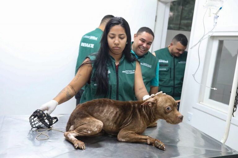 WhatsApp-Image-2025-06-17-at-17.51.21-1-scaled