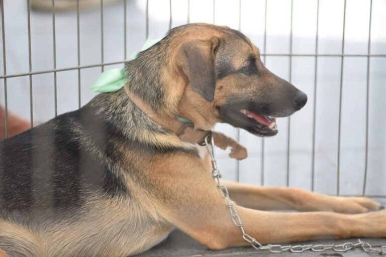 WhatsApp-Image-2025-07-15-at-11.33.27