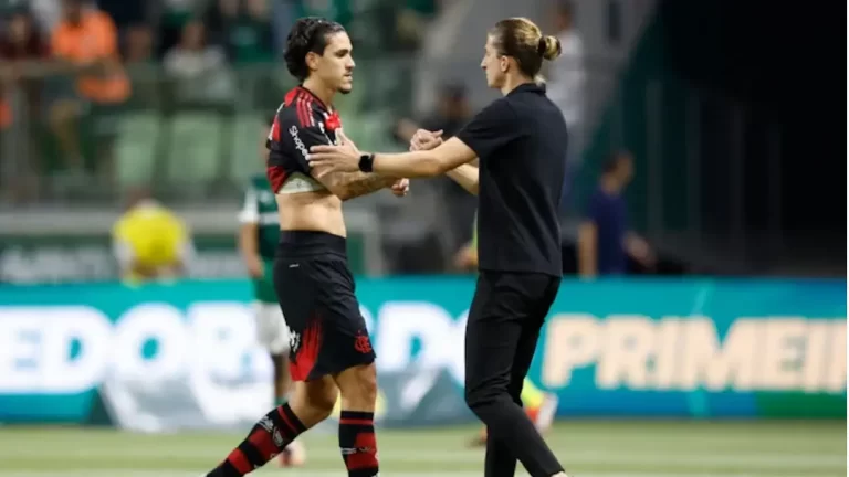 pedro_20250715095347