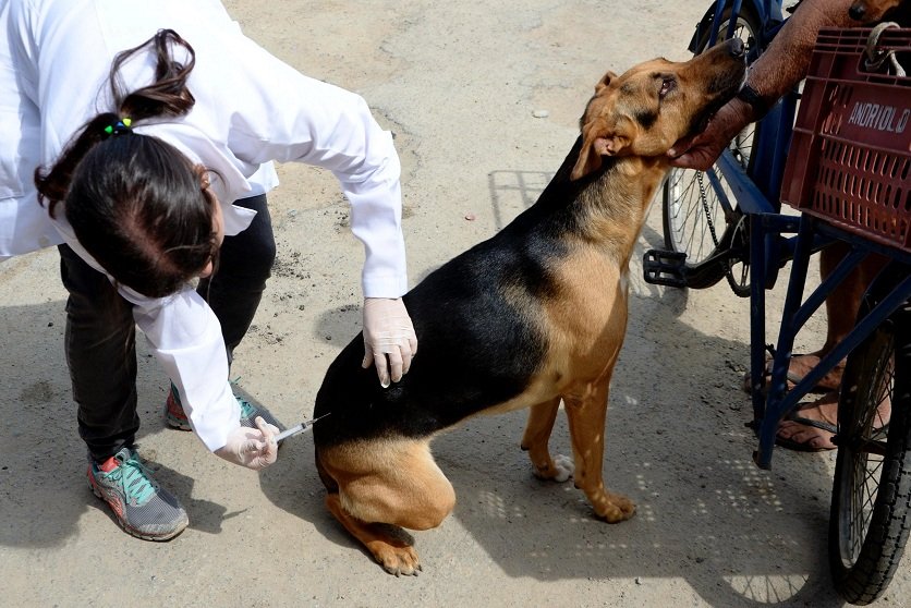 Vacinação -Bruno Eduardo Alves