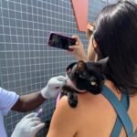 Vacinação antirrábica
