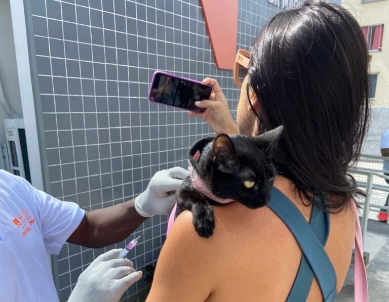 Vacinação antirrábica