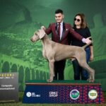 WhatsApp Image 2025-09-25 at 13.12.56 (1)