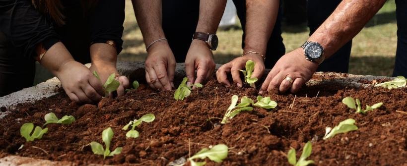 agricultura social (4)