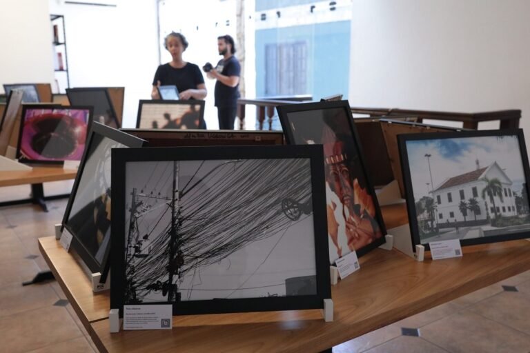 54958013859_74da0ce49d_o-scaled