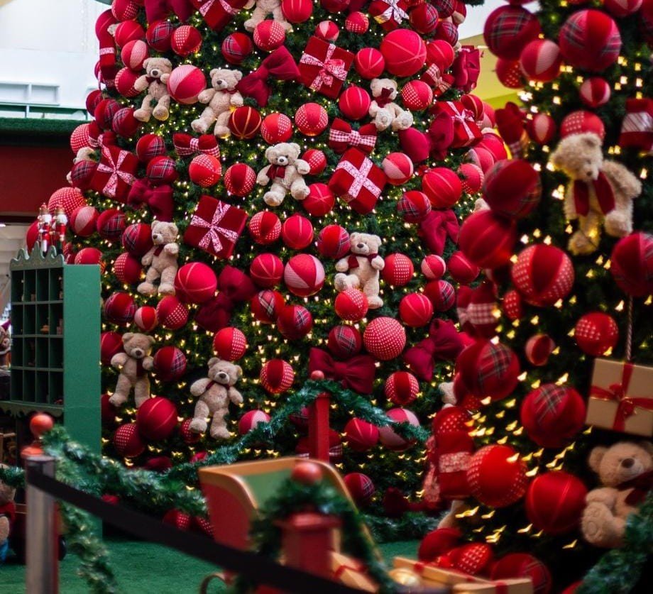 Imagem divulgação cantatas