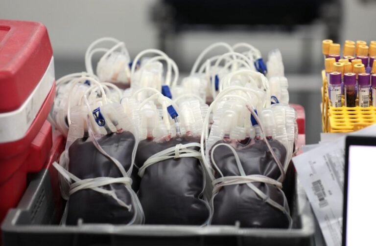 WhatsApp-Image-2026-01-07-at-08.56.02