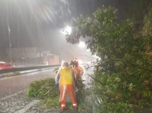 Divulgação- limpeza chuvas