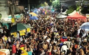 Folia dos Bois