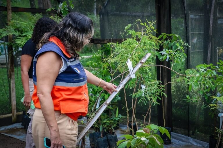 Itaboraí recebe 335 mudas no Horto Municipal como parte de compensação ambiental (3)