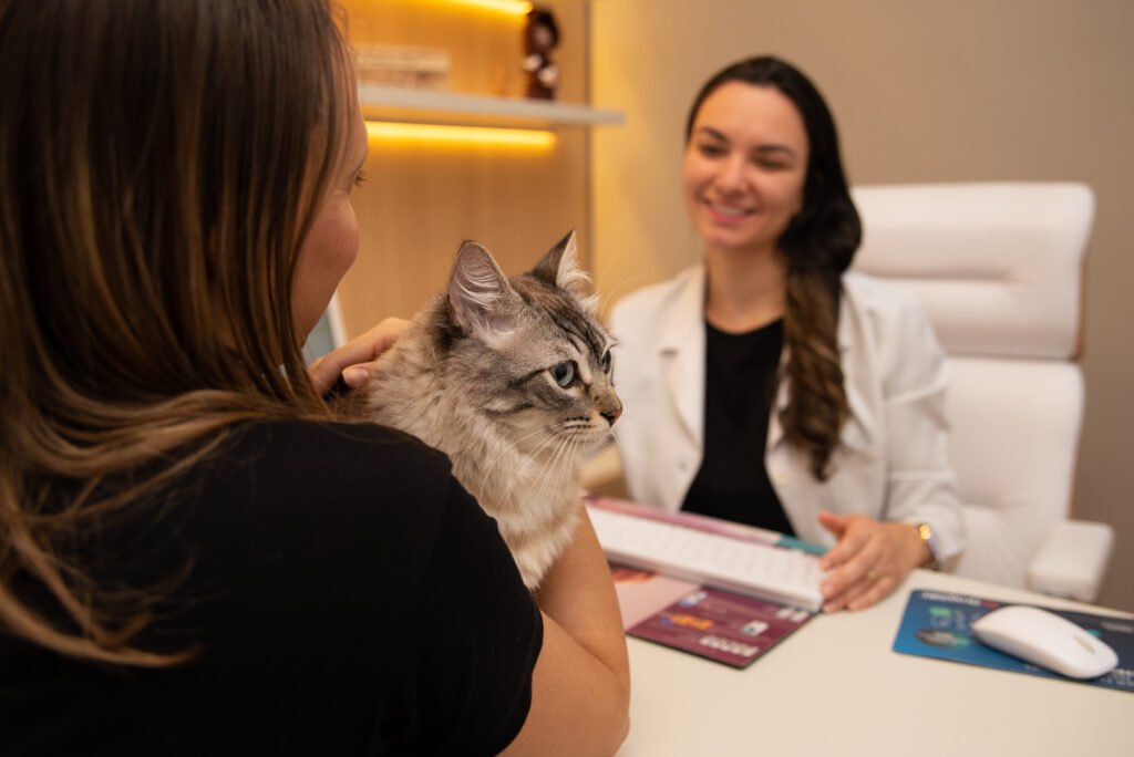 O-fa-#769rmaco-molnupiravir-abre-uma-nova-possibilidade-de-tratamento-para-gatos-diagnosticados-com-uma-doenc-#807a-de-alta-letalidade-Foto-Edjane-Mazda