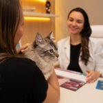 O-fa-#769rmaco-molnupiravir-abre-uma-nova-possibilidade-de-tratamento-para-gatos-diagnosticados-com-uma-doenc-#807a-de-alta-letalidade-Foto-Edjane-Mazda