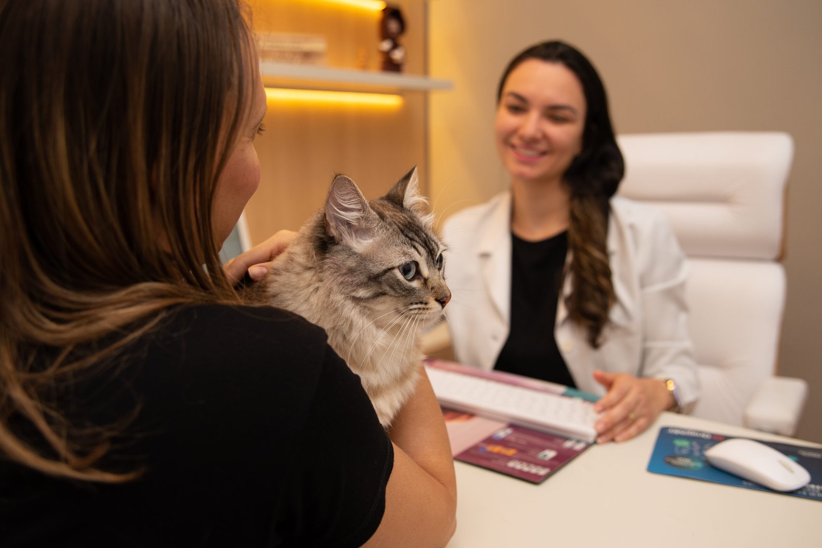 O-fa-#769rmaco-molnupiravir-abre-uma-nova-possibilidade-de-tratamento-para-gatos-diagnosticados-com-uma-doenc-#807a-de-alta-letalidade-Foto-Edjane-Mazda