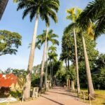 4xUmOhJDZyImM6InYu02bj5SZz5WZsF2Yu92ZvxWYuJ3bqB0bhNWYkVmc6gzM3UjN2MjM4MjOnVGcq5ydvxmYxYmNzQzMwM2M1MTOmhTN2UmMhhzMxgTYxMDZiJTYzYkMlITYzYkMlYDMyMTMGJTJ2IDMx8VL1ETLf9VLwITLfpzN