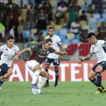 55210646395_01ca45a086_k