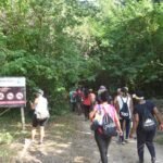 55238799679_534613caed_o