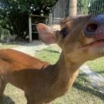 7wUmOmNGO3QDM6InYu02bj5SZz5WZsF2Yu92ZvxWYuJ3bqB0bhNWYkVmc6MTOygTMzYTNyEjOnVGcq5ydvx2Y2QjMiZTNiVmM1MzN1kTZwQDNjRmNlVjNzYzNlNGOzYkMlMGOzYkMlYDMyMTMGJTJ2IDMx8VL1ETLf9VLwITLfpzM