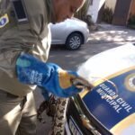 Divulgação - resgate jiboia (3)