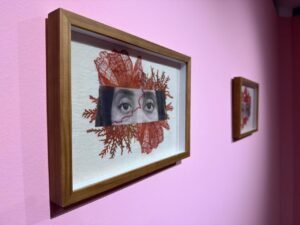 WhatsApp-Image-2026-03-13-at-14.50.44