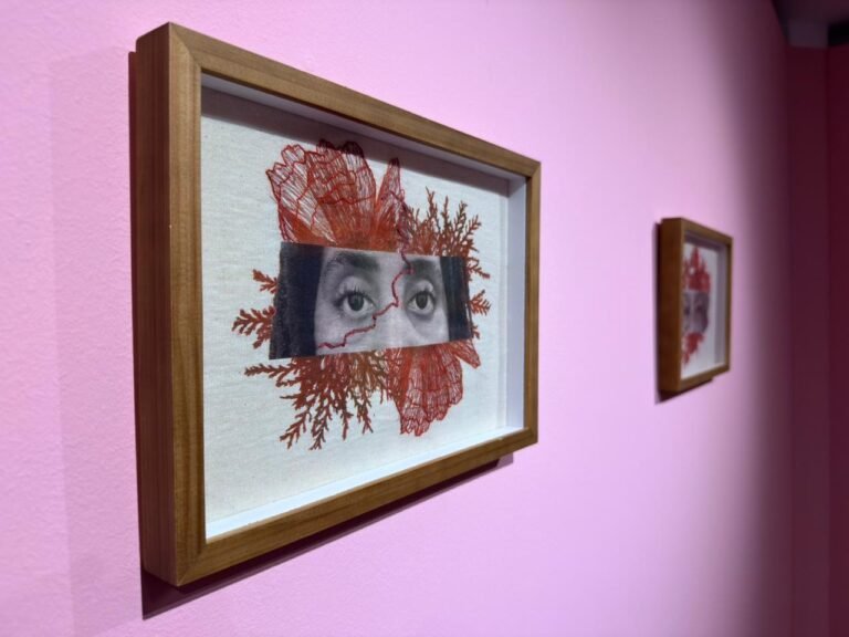 WhatsApp-Image-2026-03-13-at-14.50.44