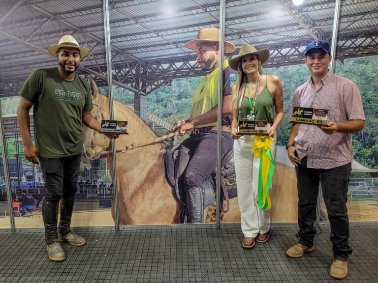 WhatsApp Image 2026-03-31 at 15.32.10