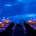 cDZ1ETY2ETMxETZxUGZ2cDN4gT