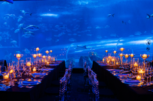 cDZ1ETY2ETMxETZxUGZ2cDN4gT