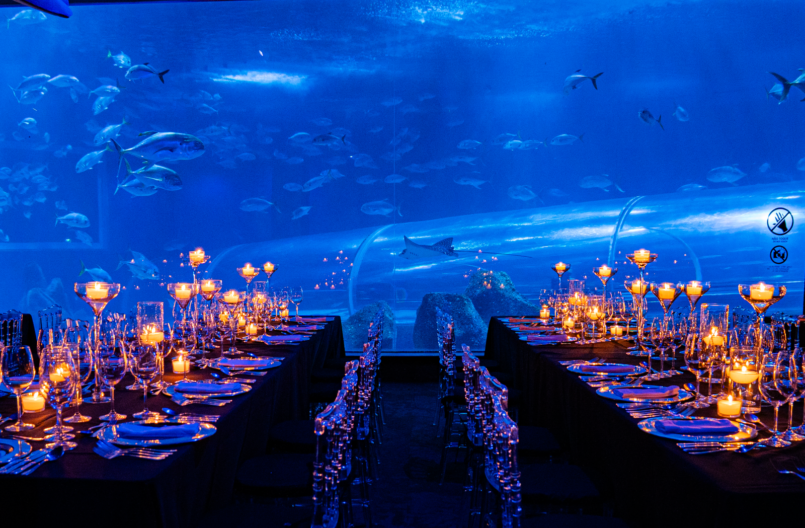 cDZ1ETY2ETMxETZxUGZ2cDN4gT