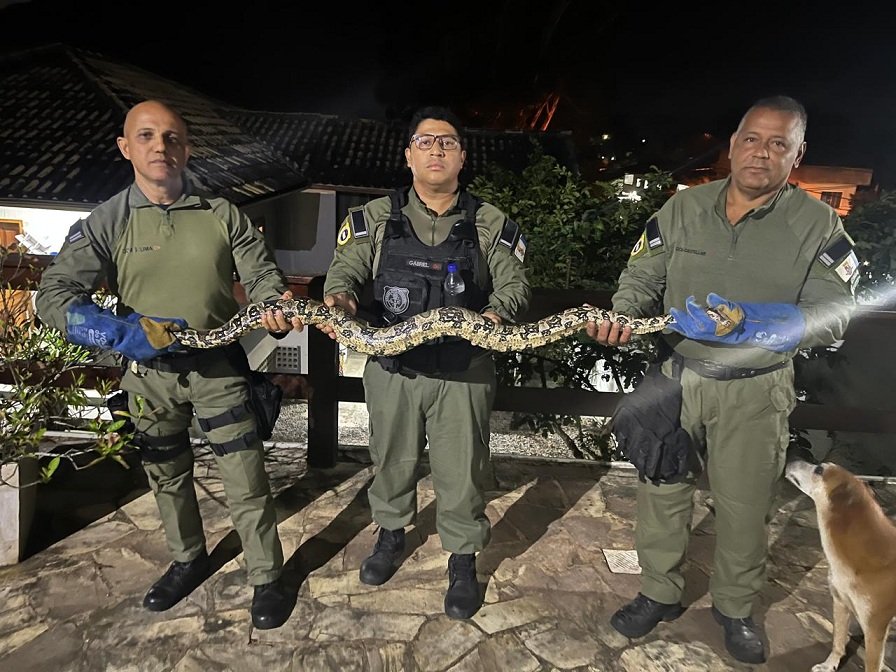 Divulgação - Cobra Engenho do Mato (2)