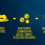 Hantavirus