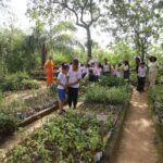 Semana do Meio ambiente 2