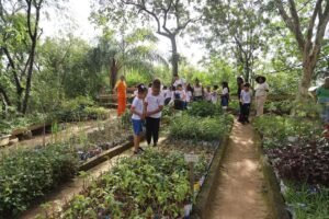 Semana do Meio ambiente 2