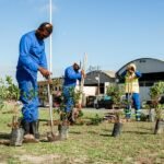 Etapa de paisagismo e arborização tem início na 22 de Maio no Dia Mundial do Meio Ambiente