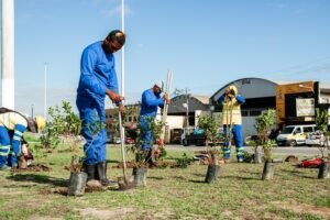 Etapa de paisagismo e arborização tem início na 22 de Maio no Dia Mundial do Meio Ambiente