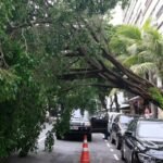 FotoDivulgaçãoTânia Rêgo EBC
