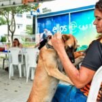 Castração gratuita de cães e gatos é ampliada em Itaboraí devido à grande procura